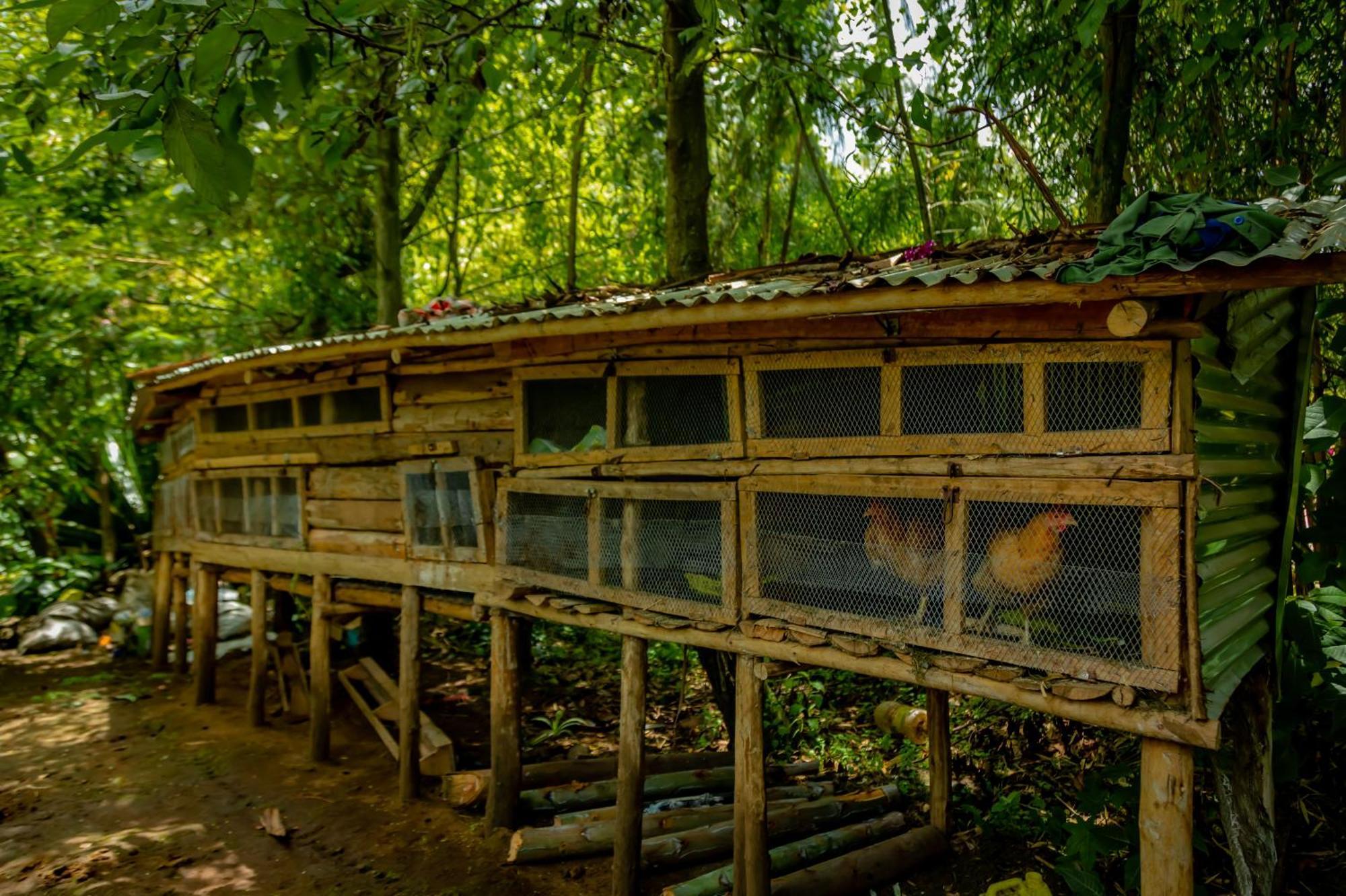 Fravan Eco Resort By Apogee Ruhengeri Exterior photo