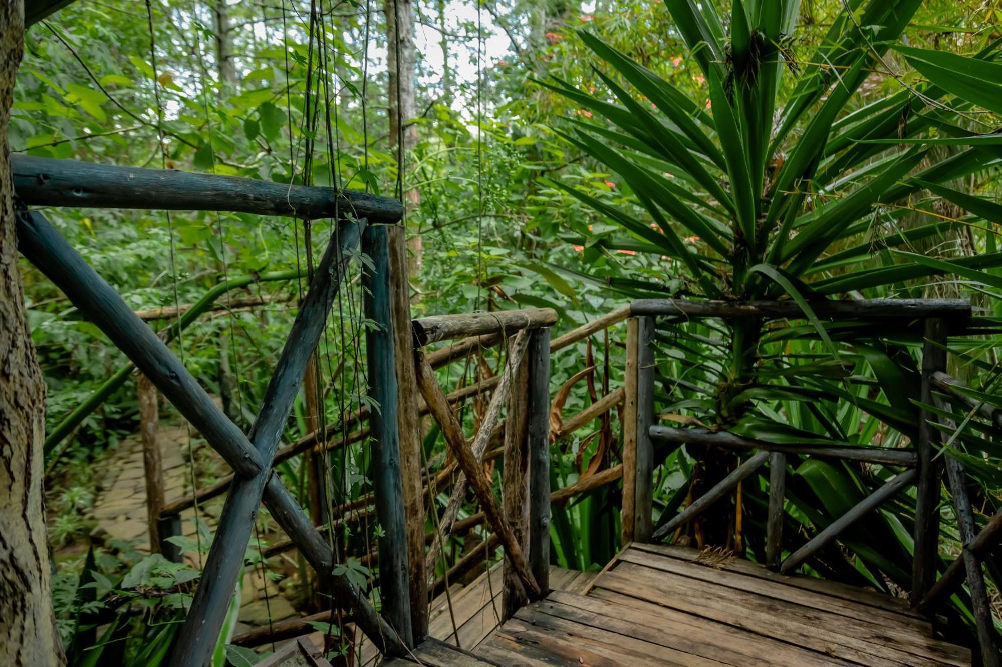Fravan Eco Resort By Apogee Ruhengeri Exterior photo