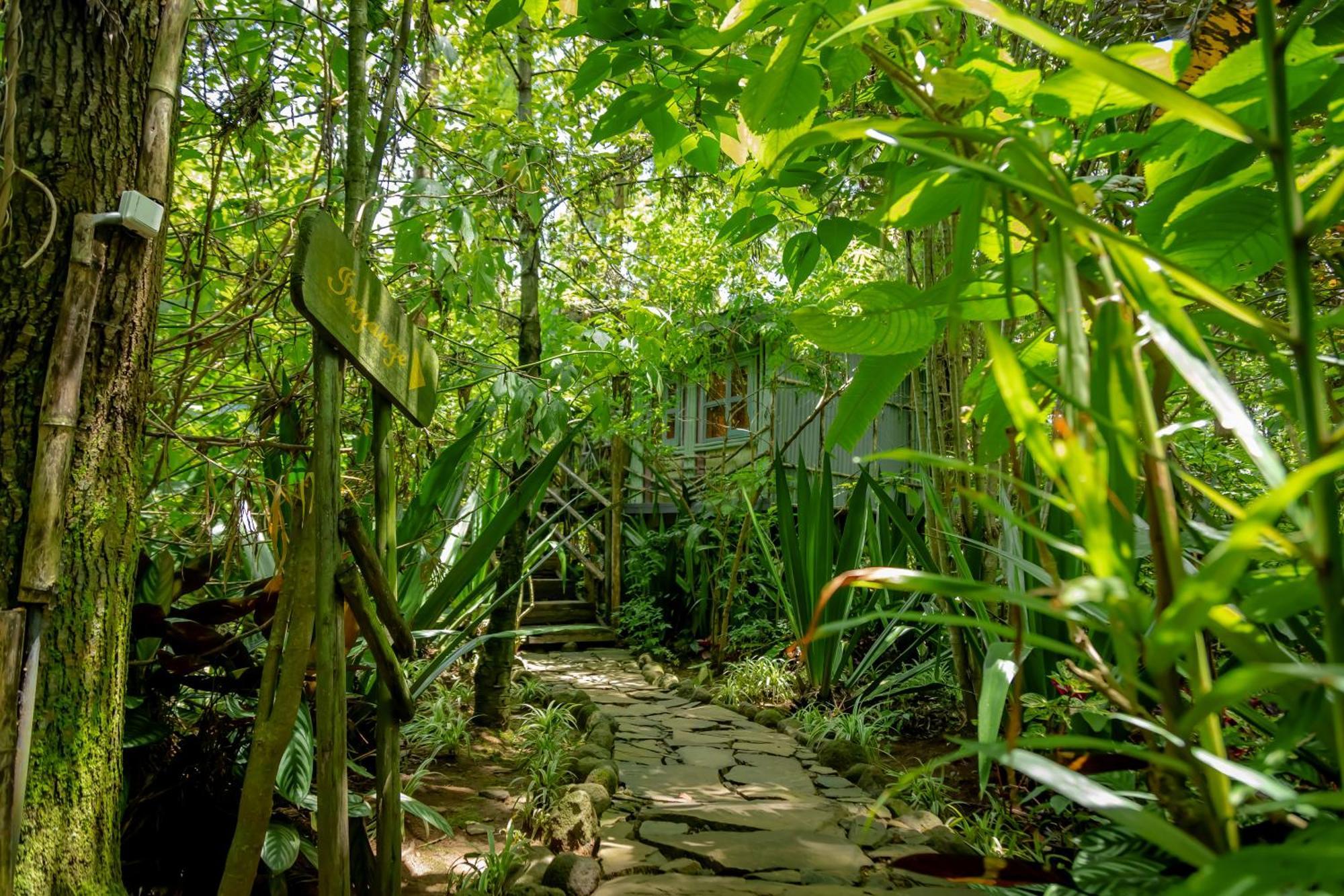 Fravan Eco Resort By Apogee Ruhengeri Exterior photo