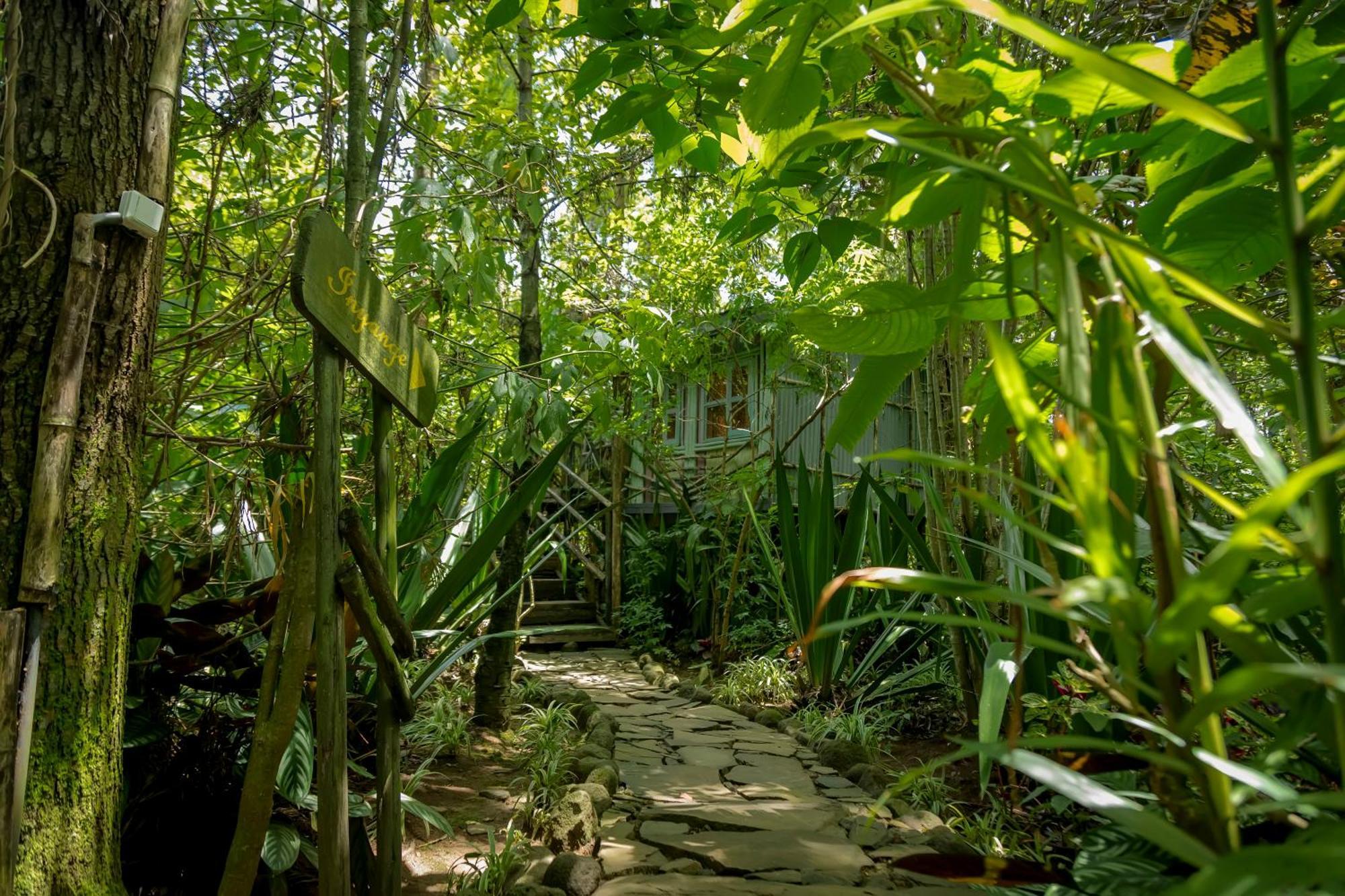 Fravan Eco Resort By Apogee Ruhengeri Exterior photo